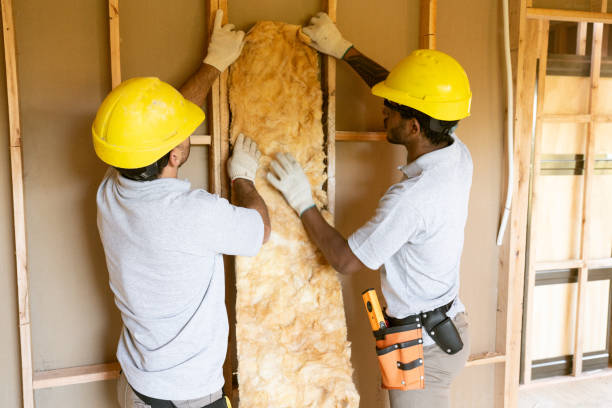 Best Professional Insulation Contractor  in North York, PA